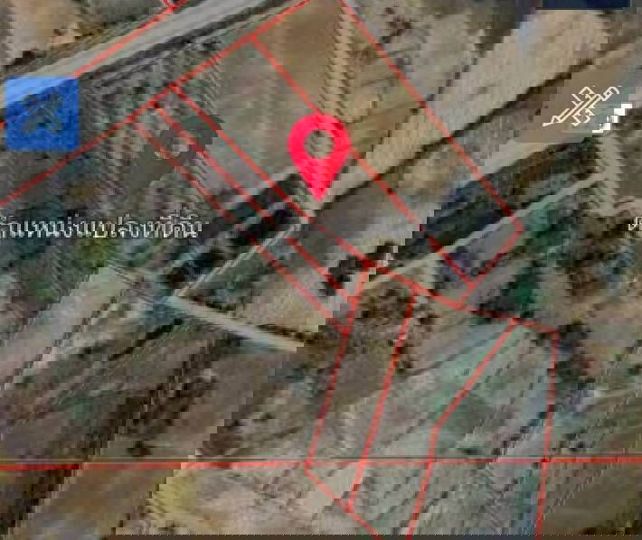 รูป ขายที่ดิน 15 ไร่ ติดถนนหลวง4 เลน ขอนแก่น-ชัยภูมิเหมายกแปลง5.5 ล้าน - รูปที่ 6/6