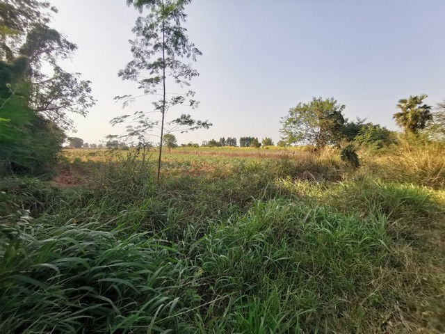 รูป BP00182 ขายที่ดินว่างเปล่า ตำบลบ้านกอก อำเภอจัตุรัส ชัยภูมิ - รูปที่ 2/8