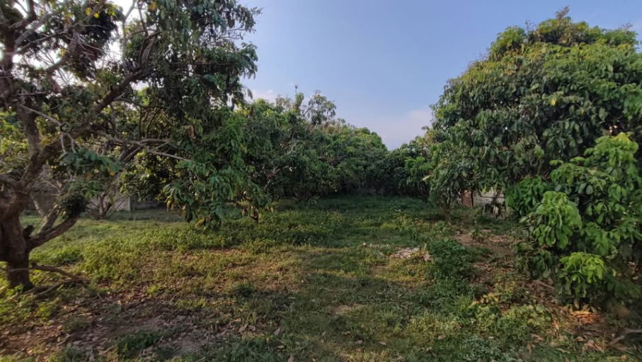 รูป ขายที่ดินหมู่บ้านจอเจริญ หมู่ 4 ต.ดอนศิลา อ.เวียงชัย จ.เชียงราย - รูปที่ 6/11