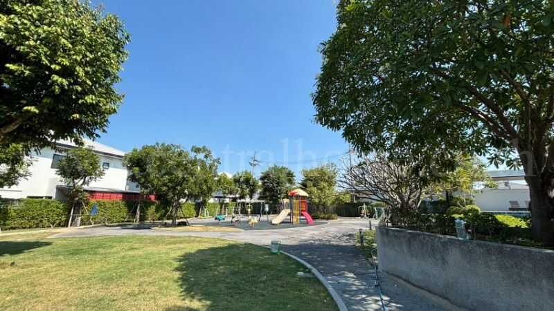 รูป บ้านเดี่ยว บ้านฟ้ากรีนเนอรี่ทิวา ปิ่นเกล้า-สาย 5 แปลงมุม หน้าสวน - รูปที่ 13/13