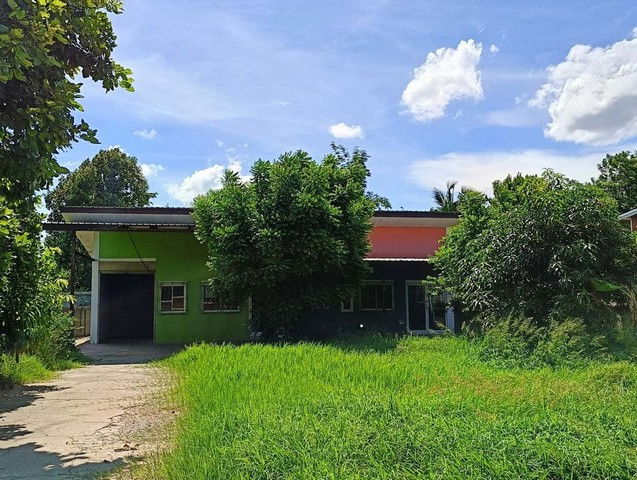 รูป BP00875 ขายบ้านเดี่ยว ตำบลในเมือง อำเภอบ้านไผ่ ขอนแก่น - รูปที่ 5/8