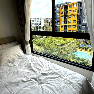 Condos for rent Khlong Luang Pathumthani : Dcondo Shine Rangsit for rent. Fully furnished, opposite Thammasat University. 5th floor unit, 26 sq.m., pool view.