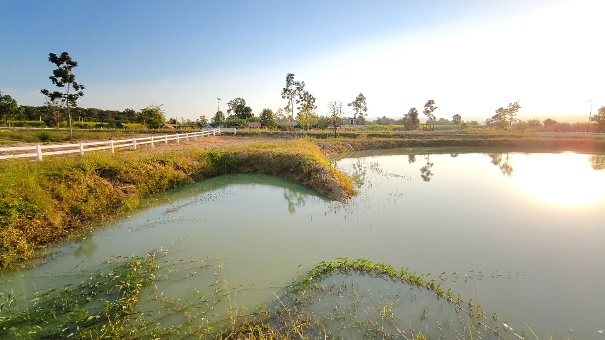 รูป ขายที่ดิน " วิวภูเขา " อากาศดี ใกล้ทางหลวง 304 ใกล้วังน้ำเขียว ภูเขาล้อมรอบ มีให้จองเป้นเจ้าของอีก 5 แปลงเท่านั้น ภูหลวง ปักธงชัย นครราชสีามา - รูปที่ 13/15