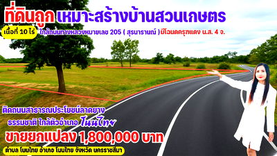 Land for sale Nakhon Ratchasima : Land for sale at a bargain price. This plot of land is located in an excellent location in Non Thai