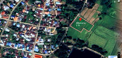 ขายที่ดิน : ขายที่ดิน 3 ไร่ ต.กุดตุ้ม อ.เมืองชัยภูมิ ขายต่ำกว่าประเมิน ขาย1ล้านบาท