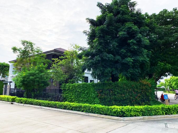 4-bed house for sale, 102 sq wah, Mantana Kalapapruek - Wongwaen