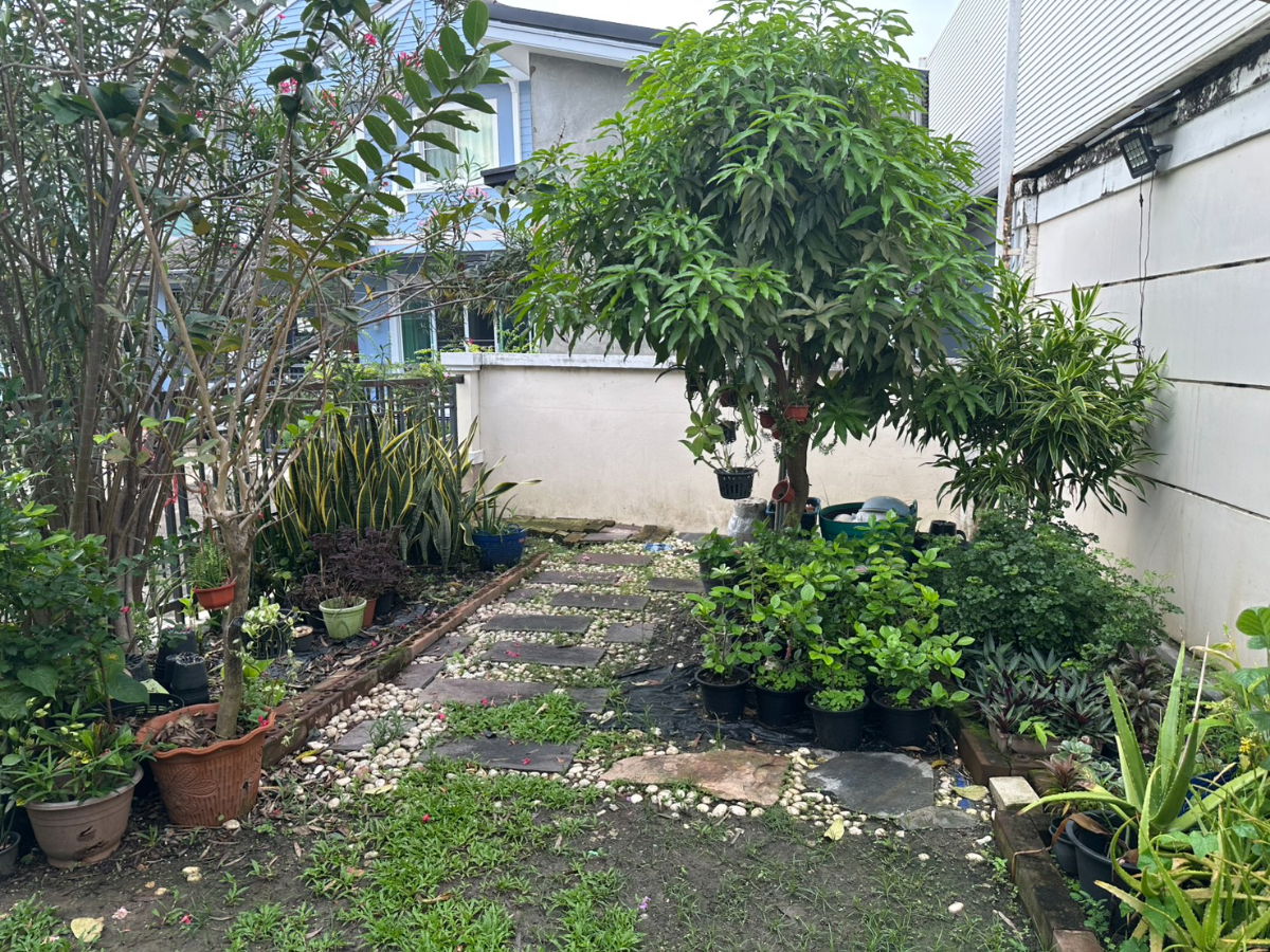 รูป DLH-0032 เช่าบ้าน นันทวัน สาทร ราชพฤกษ์(Nantawan Sathorn Ratchaphruk) พร้อมเข้าอยู่ โทรด่วน 0638692663 LineID@655ebbvc - รูปที่ 39/39