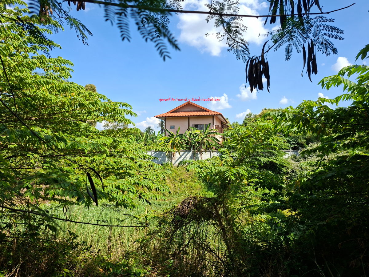 รูป ขายที่ดิน 2 ไร่ 154 ตารางวา 1,000,000 บาท มีห้องพัก 2 ห้อง มีน้ำและไฟฟ้าพร้อมเข้าอยู่ ใกล้วัดสามประชุม อ.โพธิ์ทอง จ.อ่างทอง - รูปที่ 12/13