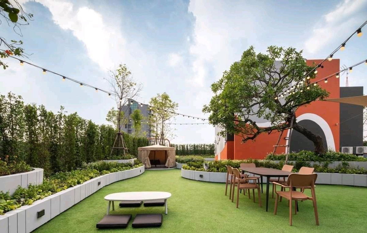 picture Code: KJ10297 for rent THE MUVE Kaset 🔥🔥 Line ID: @kjcondo (with @)🔥🔥 - 10/11