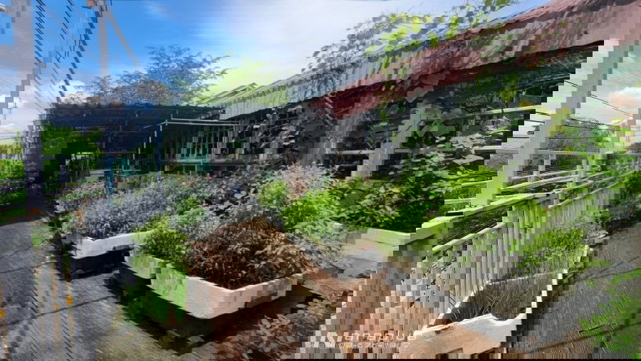 รูป 68121188 : ขายบ้านเดี่ยว 2 ชั้น พร้อมสวนลอยฟ้า สามารถทำธุรกิจร้านอาหารได้ ขนาด 75 ตารางวา หมู่บ้าน สีวลี พหลโยธิน 79 ย่านตลาดสี่มุมเมือง รังสิต - รูปที่ 9/22