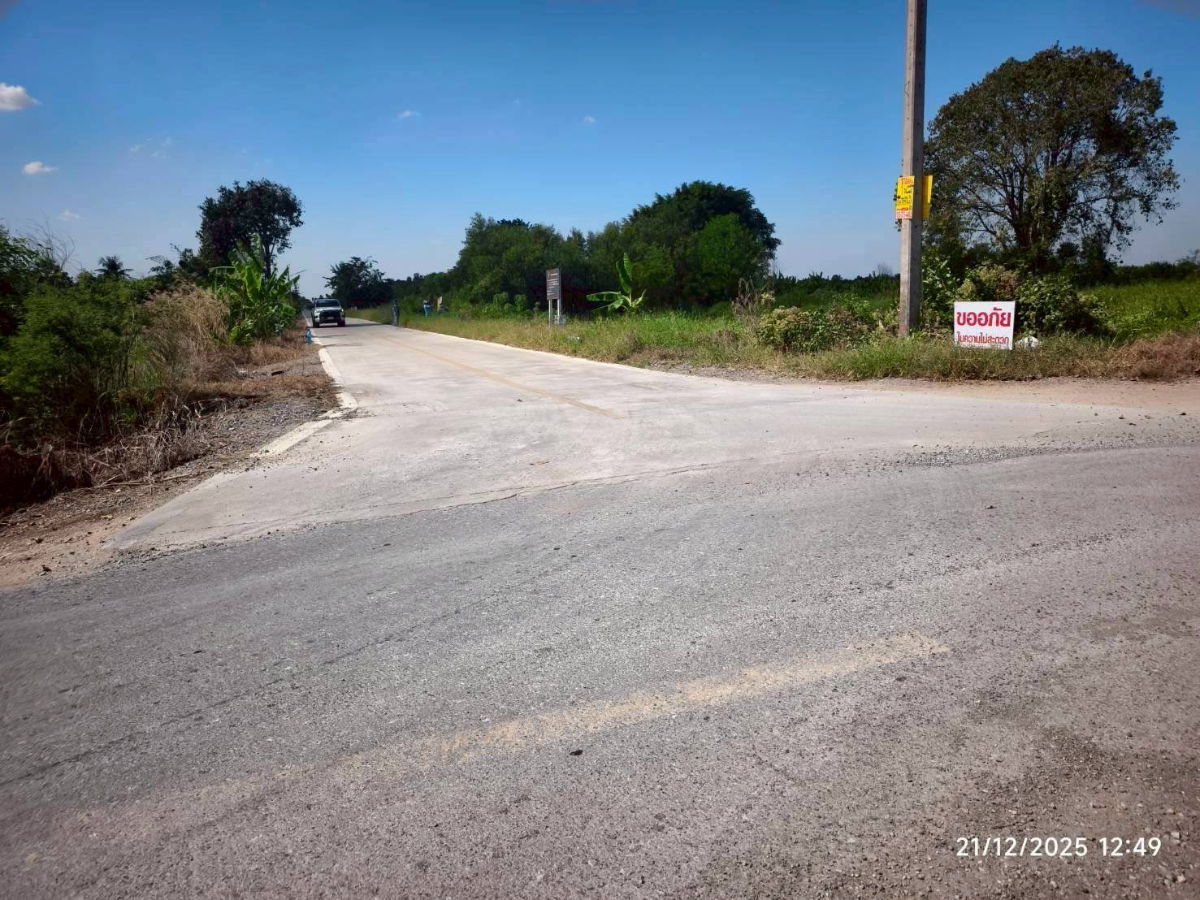 รูป  ขายถูกที่ดินใกล้วัดปัญญานันทาราม 1 ไร่ ติดถนนคอนกรีตสาธารณะ ซ.คลองห้า ตอ.38 อ.คลองหลวง จ.ปทุมธานี - รูปที่ 5/7