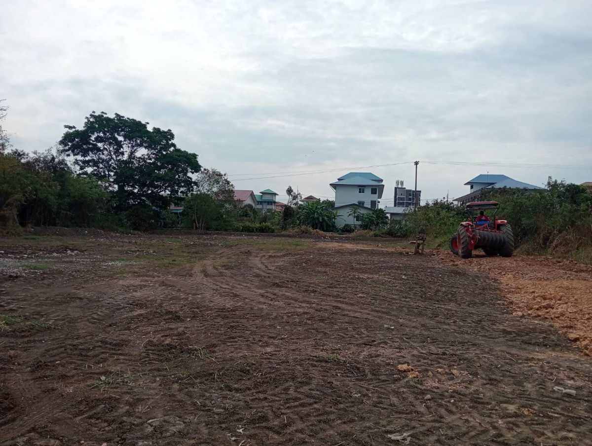 รูป ที่ดินเปล่าให้เช่า 5-20 ไร่ สามารถแบ่งเช่าได้ ใกล้นิคมอตสาหกรรมเวลโกรว์ - รูปที่ 5/7
