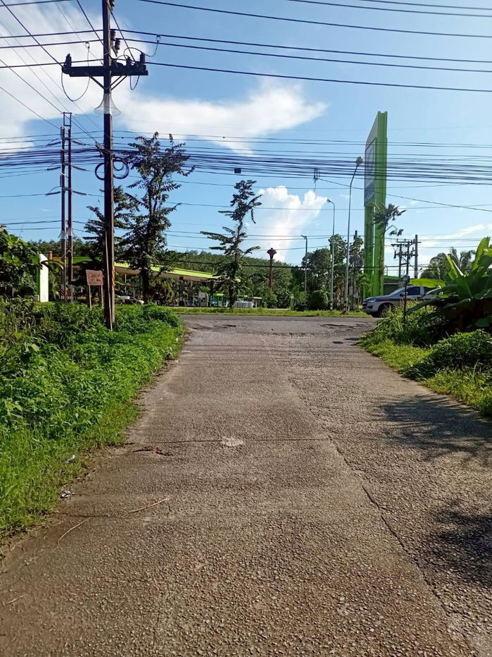 รูป ขายที่ดินพร้อมสวนปาล์ม ทำเลทอง 26 ไร่ 97.1 ตร.ว. อ.เมืองพังงา หลังการยางแห่งประเทศไทย จ.พังงา - รูปที่ 10/13