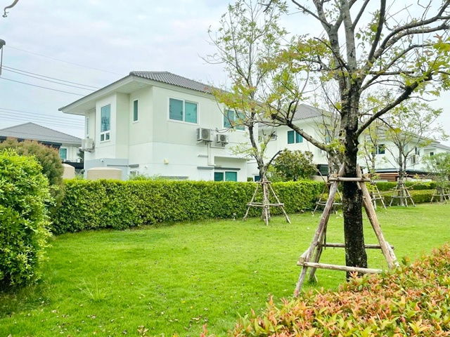 รูป วิวสวนหลังบ้าน 4นอน วงแหวน-ลำลูกกา คลอง 6 ตลาดพึ่งสุข 1.6 กม.โลตัส บึงคำพร้อย 1.5 กม. เช่าบ้านเดี่ยว 2 ชั้น 3 น้ำ - รูปที่ 1/8