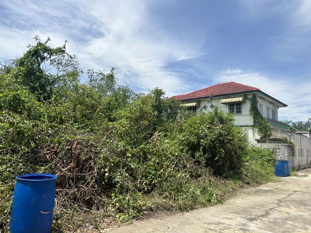 รูป ขายที่ดินเปล่า 140 ตร.ว หมู่บ้านกำแพงแสนกรีนแลนด์ นครปฐม ใกล้รพ.อินเตอร์กำแพงแสน - รูปที่ 1/8