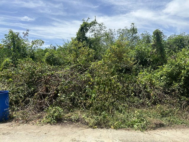 รูป ขายที่ดินเปล่า 140 ตร.ว หมู่บ้านกำแพงแสนกรีนแลนด์ นครปฐม ใกล้รพ.อินเตอร์กำแพงแสน - รูปที่ 3/8