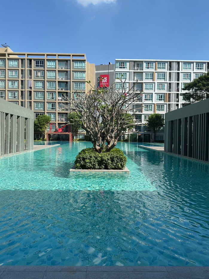 รูป ✅ให้เช่า ดีคอนโดซายน์ ชั้น8 ตึกd 10,000บาท ☎️064-792-4426(เบญ) - รูปที่ 12/12