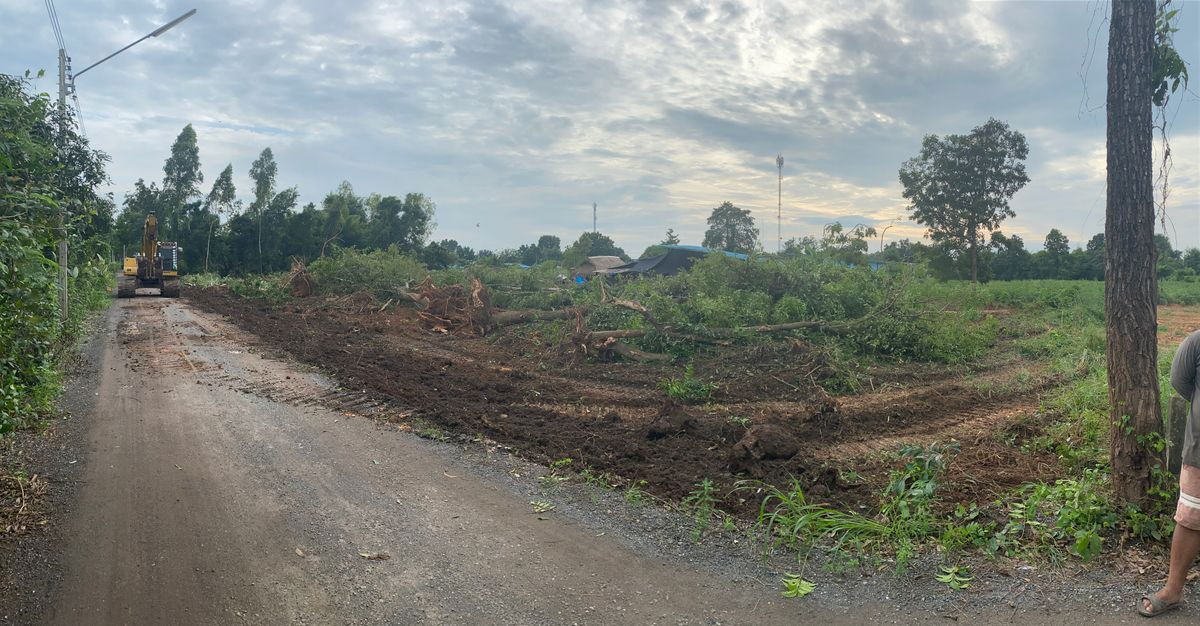 รูป ขายที่ดินปราจีนบุรี (โคกไทย) 1 ไร่ 1 งาน - รูปที่ 15/15