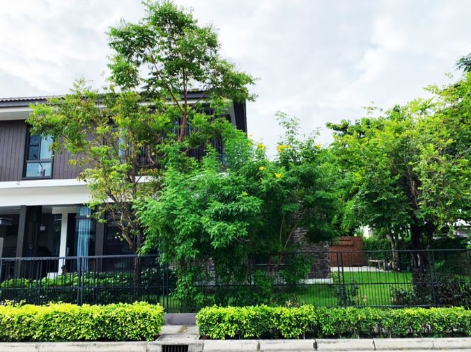 4-bed house for sale, 102 sq wah, Mantana Kalapapruek - Wongwaen