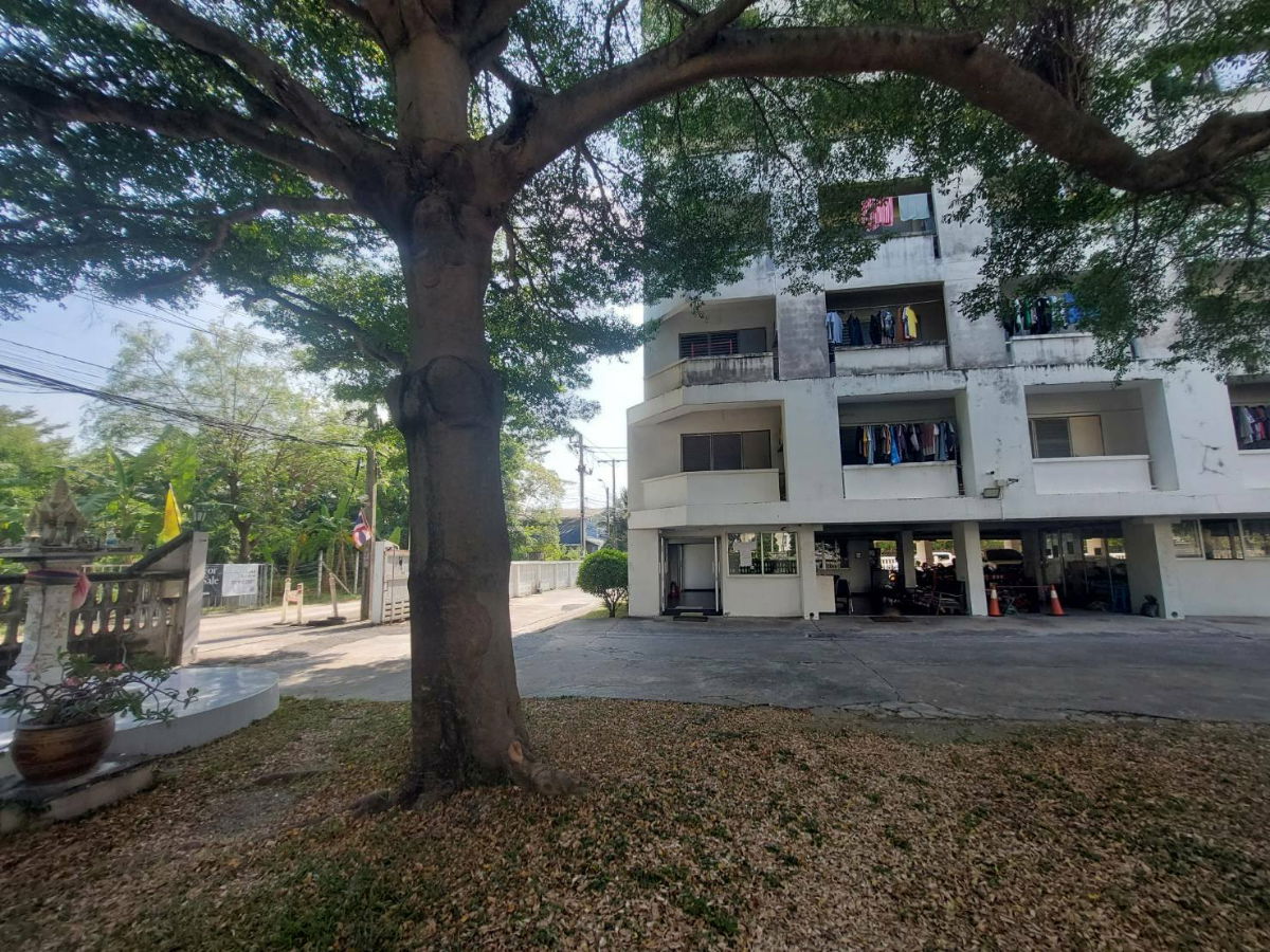 รูป ขาย อพาร์ทเม้นท์ สุขุมวิท 72 ที่ดิน เนื้อที่ 874 ตร.วา พร้อมอาคาร 8 ชั้น 133 ห้องพัก  ใกล้ UNIO สุขุมวิท 72, BTS แบริ่ง ราคา 130 ล้านบาท - รูปที่ 2/19