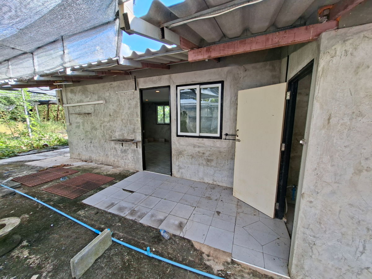 รูป ขายที่ดิน 2 ไร่ 154 ตารางวา 1,000,000 บาท มีห้องพัก 2 ห้อง มีน้ำและไฟฟ้าพร้อมเข้าอยู่ ใกล้วัดสามประชุม อ.โพธิ์ทอง จ.อ่างทอง - รูปที่ 8/13