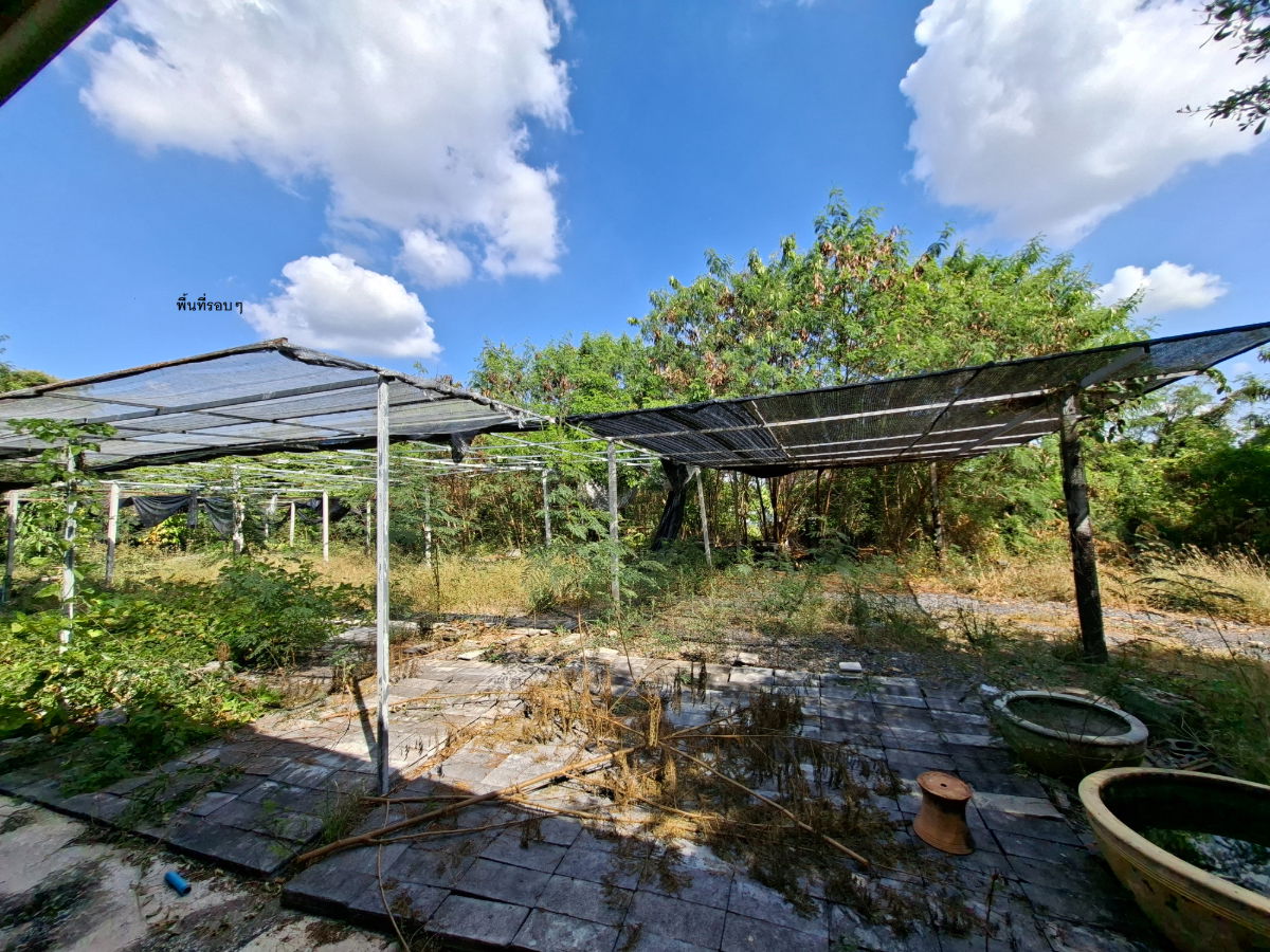 รูป ขายที่ดิน 2 ไร่ 154 ตารางวา 1,000,000 บาท มีห้องพัก 2 ห้อง มีน้ำและไฟฟ้าพร้อมเข้าอยู่ ใกล้วัดสามประชุม อ.โพธิ์ทอง จ.อ่างทอง - รูปที่ 10/13