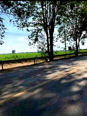 ขายที่ดิน : 💎 โอกาสทอง! ที่ดินแปลงใหญ่ 470 ไร่ ติดถนน 4 เลน (กำลังก่อสร้าง) ราคานี้หาไม่ได้อีกแล้ว!