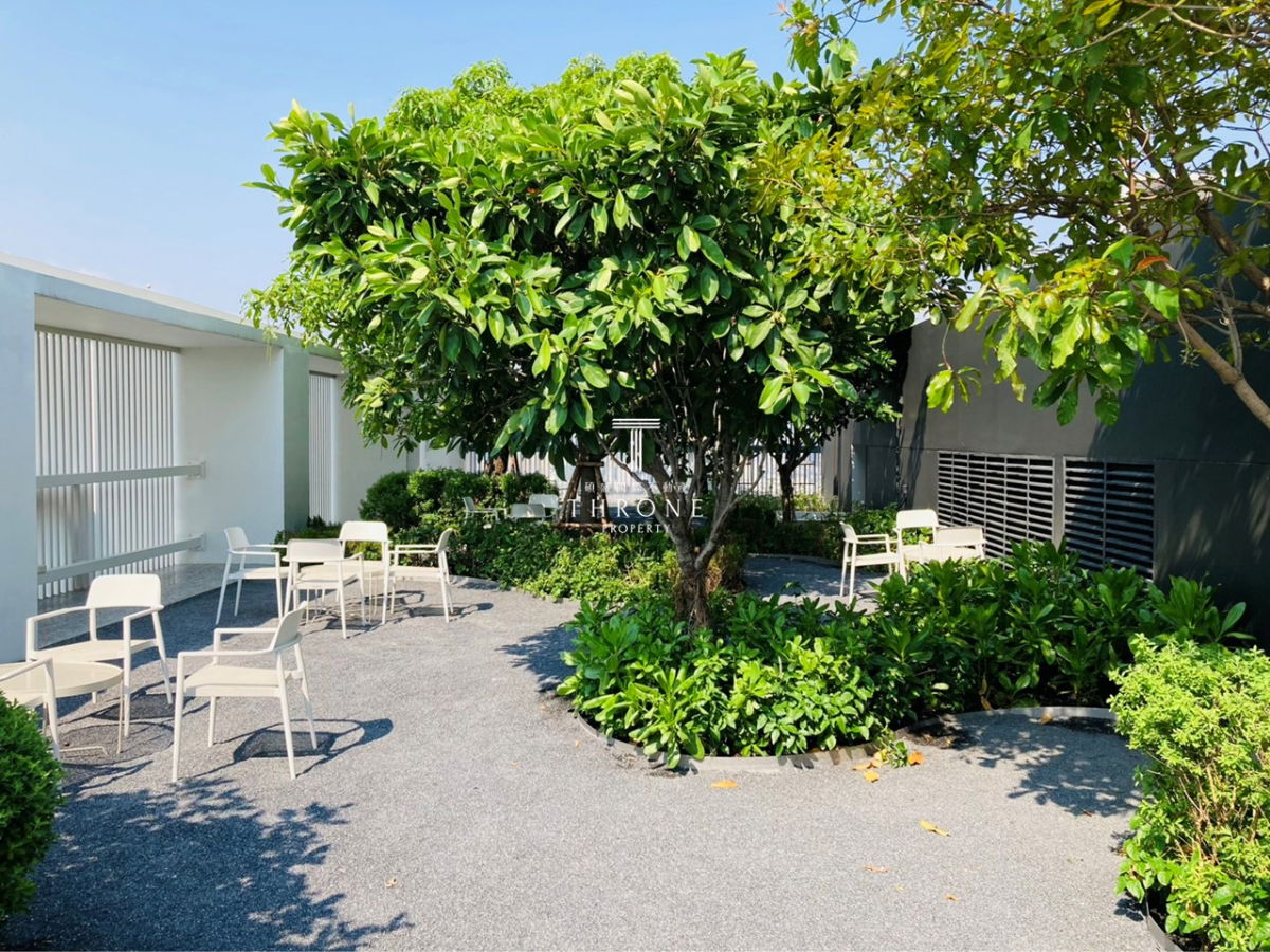 picture Noble Around Ari 🌟PN-00006099🌟 - 17/17