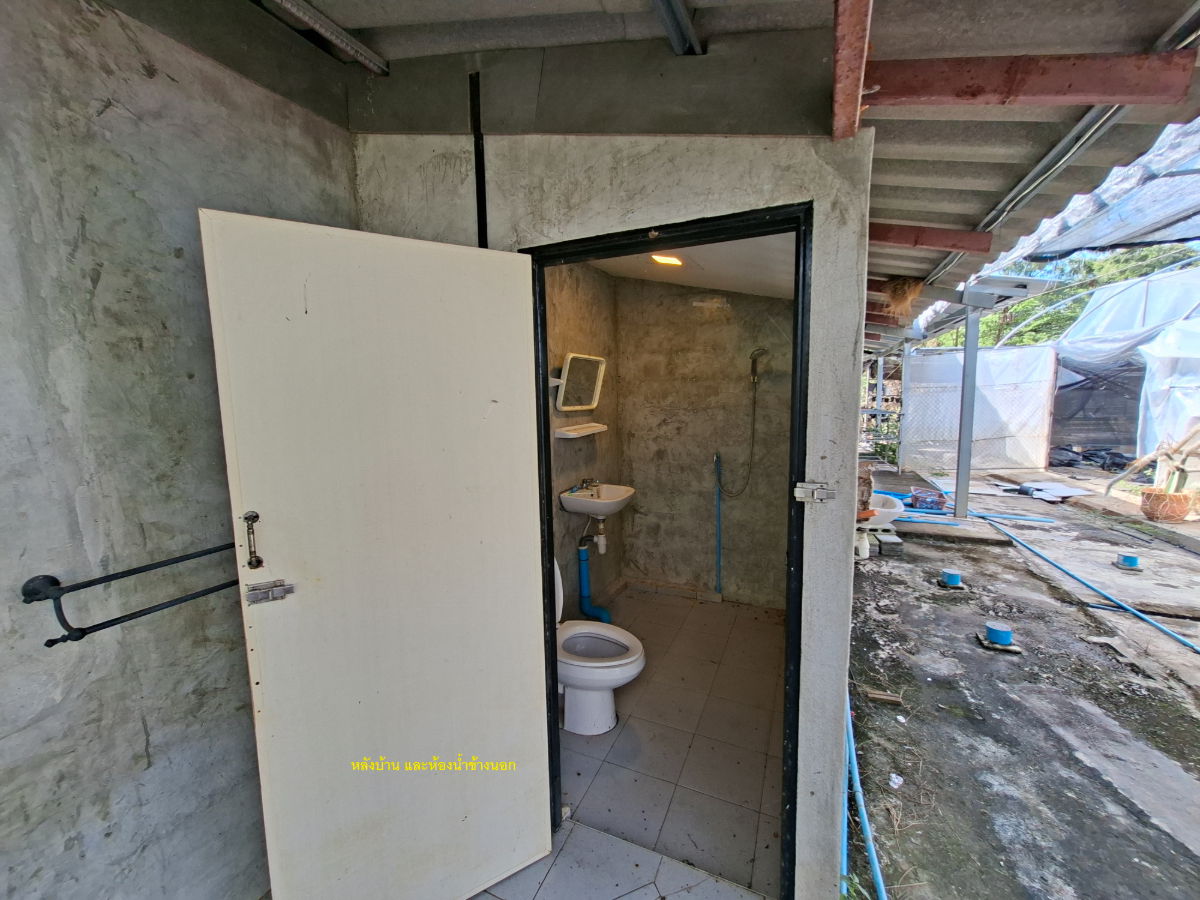 รูป ขายที่ดิน 2 ไร่ 154 ตารางวา 1,000,000 บาท มีห้องพัก 2 ห้อง มีน้ำและไฟฟ้าพร้อมเข้าอยู่ ใกล้วัดสามประชุม อ.โพธิ์ทอง จ.อ่างทอง - รูปที่ 7/13