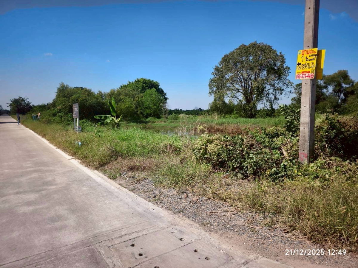 รูป  ขายถูกที่ดินใกล้วัดปัญญานันทาราม 1 ไร่ ติดถนนคอนกรีตสาธารณะ ซ.คลองห้า ตอ.38 อ.คลองหลวง จ.ปทุมธานี - รูปที่ 2/7