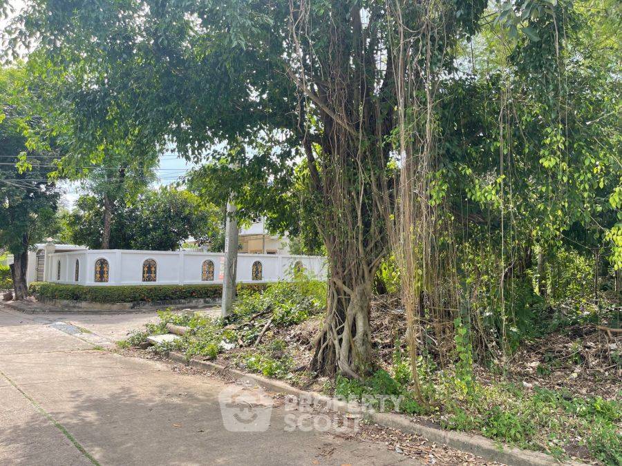 รูป ที่ดินสำหรับปล่อยขาย 716 ตารางเมตร แถว ใน บางแคเหนือ (ID 2472247) - รูปที่ 2/3