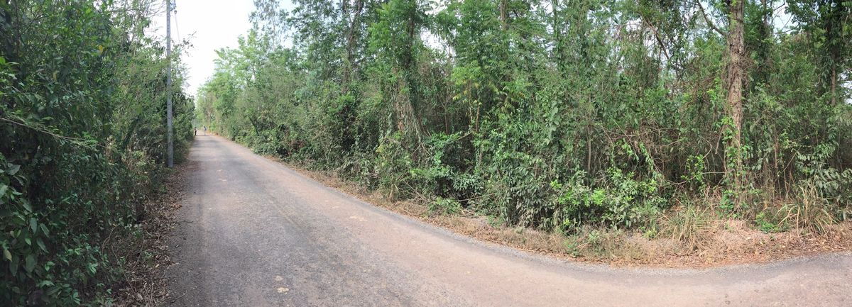 รูป ขายที่ดินปราจีนบุรี (โคกไทย) 1 ไร่ 1 งาน - รูปที่ 11/15