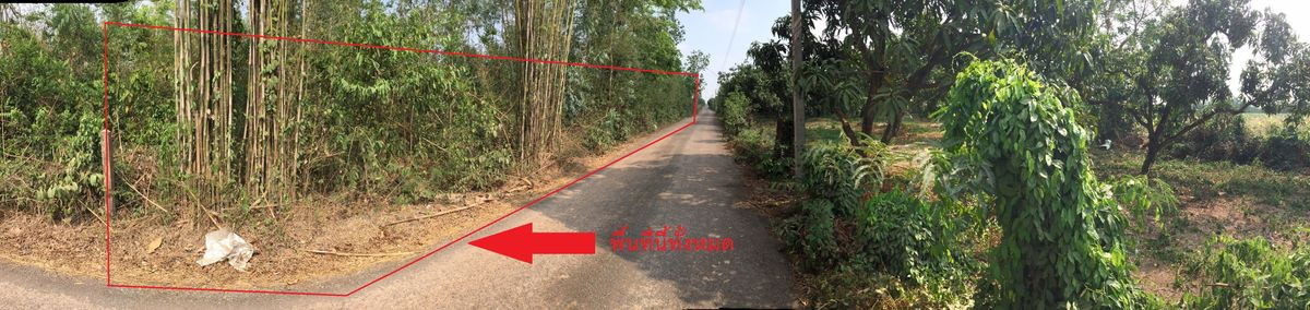รูป ขายที่ดินปราจีนบุรี (โคกไทย) 1 ไร่ 1 งาน - รูปที่ 9/15