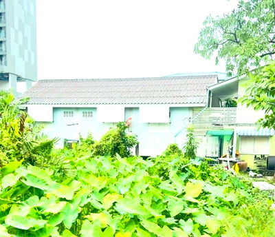 เช่าบ้านเดี่ยว BTS วุฒากาศ : BTS วุฒากาศ 750 ม. บ้านเดี่ยวชั้นเดียว ภาษีเจริญ 2 นอน จัดเต็มเฟอร์ฯ 40 ตร.ม. ม.สยาม 1.6 กม. เดอะมอลล์ ท่าพระ 1.3 กม. ตลาดพลู 400 ม.