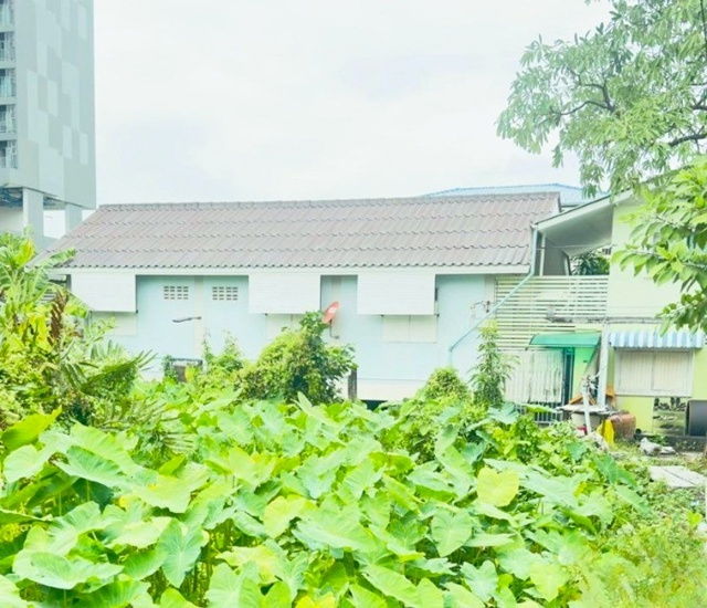 รูป BTS วุฒากาศ 750 ม. บ้านเดี่ยวชั้นเดียว ภาษีเจริญ 2 นอน จัดเต็มเฟอร์ฯ 40 ตร.ม. ม.สยาม 1.6 กม. เดอะมอลล์ ท่าพระ 1.3 กม. ตลาดพลู 400 ม. - รูปที่ 1/7