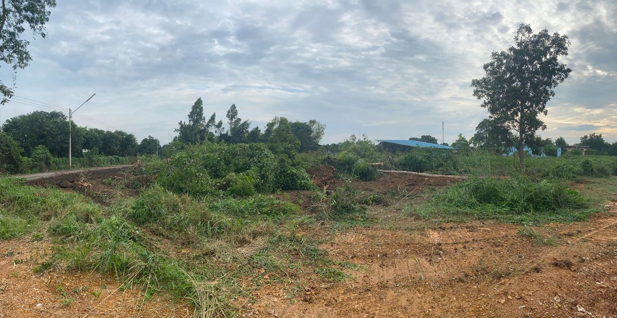 รูป ขายที่ดินปราจีนบุรี (โคกไทย) 1 ไร่ 1 งาน - รูปที่ 14/15