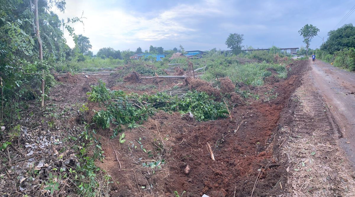 รูป ขายที่ดินปราจีนบุรี (โคกไทย) 1 ไร่ 1 งาน - รูปที่ 13/15