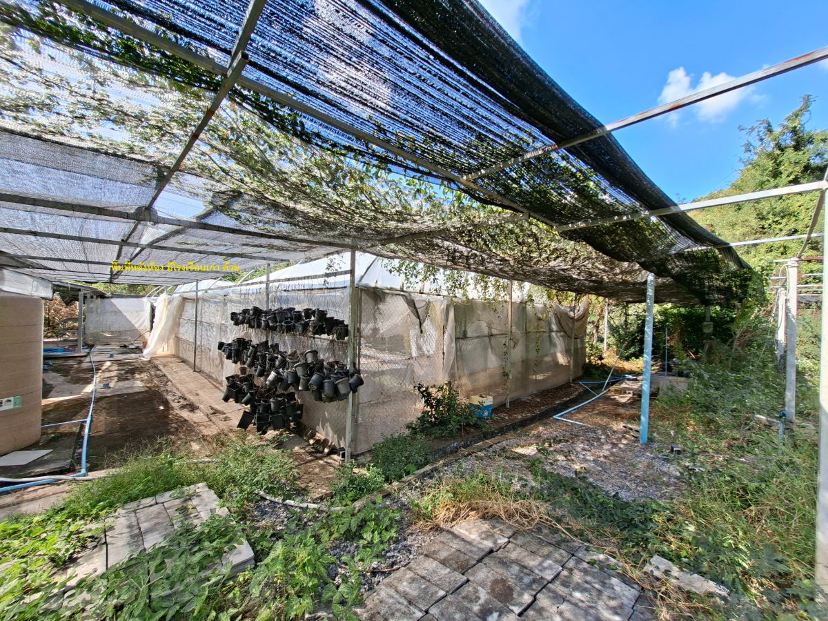 รูป ขายที่ดิน 2 ไร่ 154 ตารางวา 1,000,000 บาท มีห้องพัก 2 ห้อง มีน้ำและไฟฟ้าพร้อมเข้าอยู่ ใกล้วัดสามประชุม อ.โพธิ์ทอง จ.อ่างทอง - รูปที่ 11/13