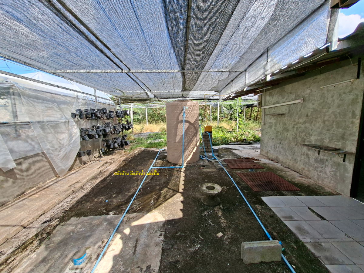 รูป ขายที่ดิน 2 ไร่ 154 ตารางวา 1,000,000 บาท มีห้องพัก 2 ห้อง มีน้ำและไฟฟ้าพร้อมเข้าอยู่ ใกล้วัดสามประชุม อ.โพธิ์ทอง จ.อ่างทอง - รูปที่ 9/13
