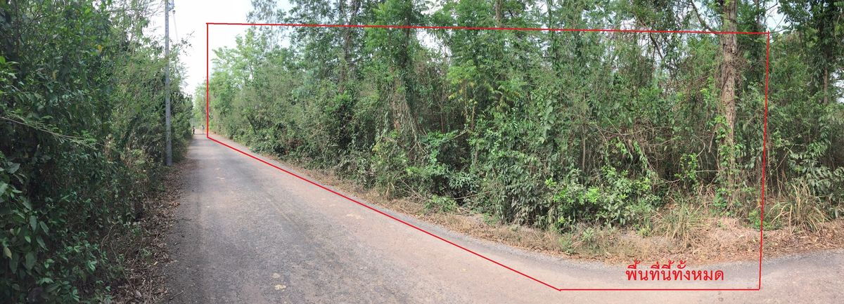 รูป ขายที่ดินปราจีนบุรี (โคกไทย) 1 ไร่ 1 งาน - รูปที่ 10/15