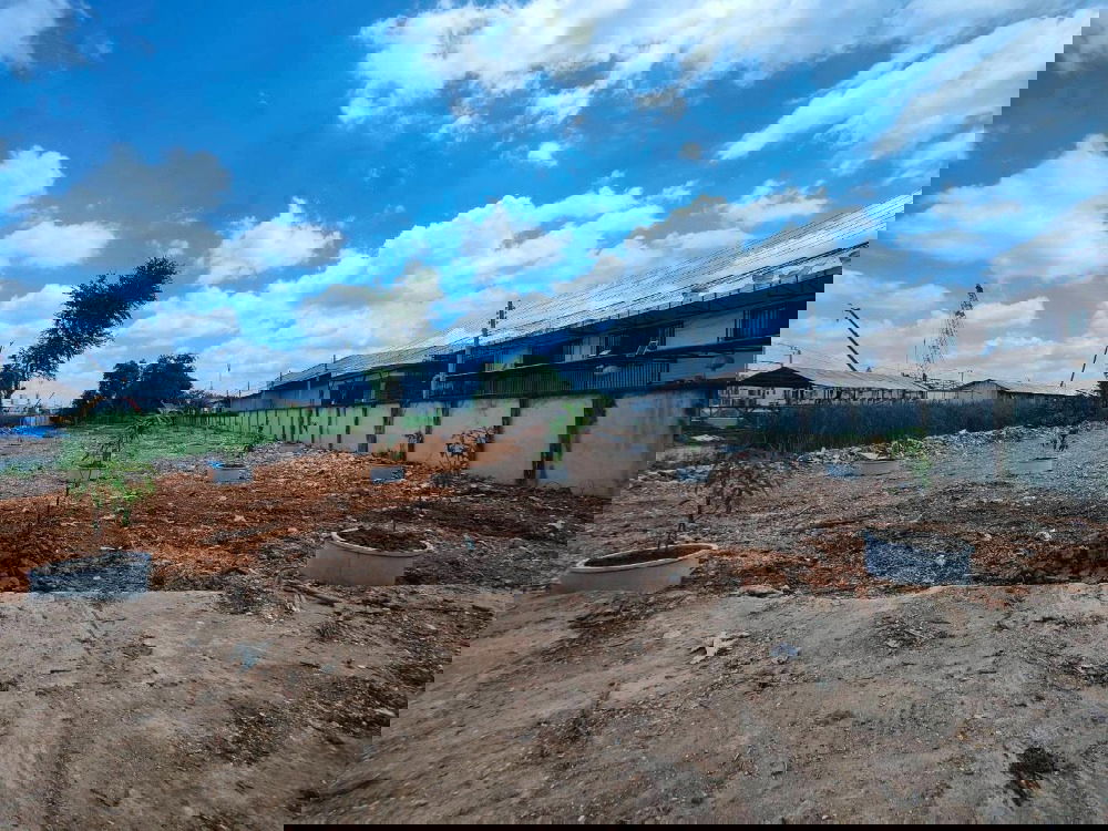 รูป 🏞️ ขายที่ดินทำเลทอง ใกล้สนามบินดอนเมือง   🚗 เดินทางเพียง 5 นาทีถึงสนามบิน   📍 ติดถนนใหญ่วิภาวดี–รังสิต - รูปที่ 5/5