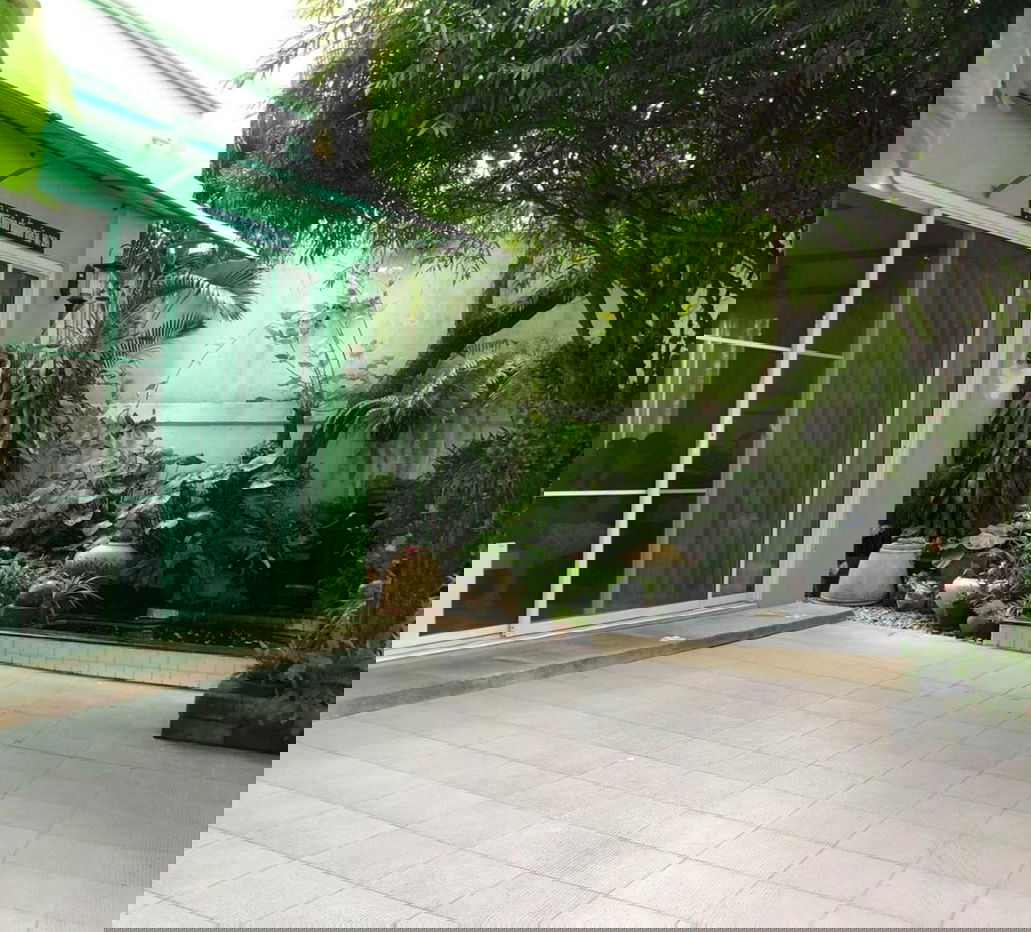 รูป ✨ขาย ทาวน์เฮ้าส์ แปลงมุม พฤกษา 14A 32.2 ตร.ว. ใกล้ MRT คลองบางไผ่ และ Central Westgate (ทำเล บางคูรัด)  Listing no. 87536 - รูปที่ 2/15