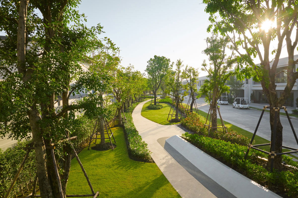 รูป ขายบ้านมือ 1 จากโครงการ Centro พระราม 9 มอเตอร์เวย์ 2  | ติดต่อฝ่ายขาย : 061-6598997- Line OA : @Newlight (มี@) - รูปที่ 13/21