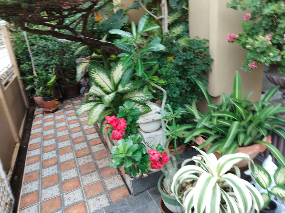 picture 🔥 Move-in Ready Detached House near Mistine – Great Value! 🔥  List 92522 - 8/14