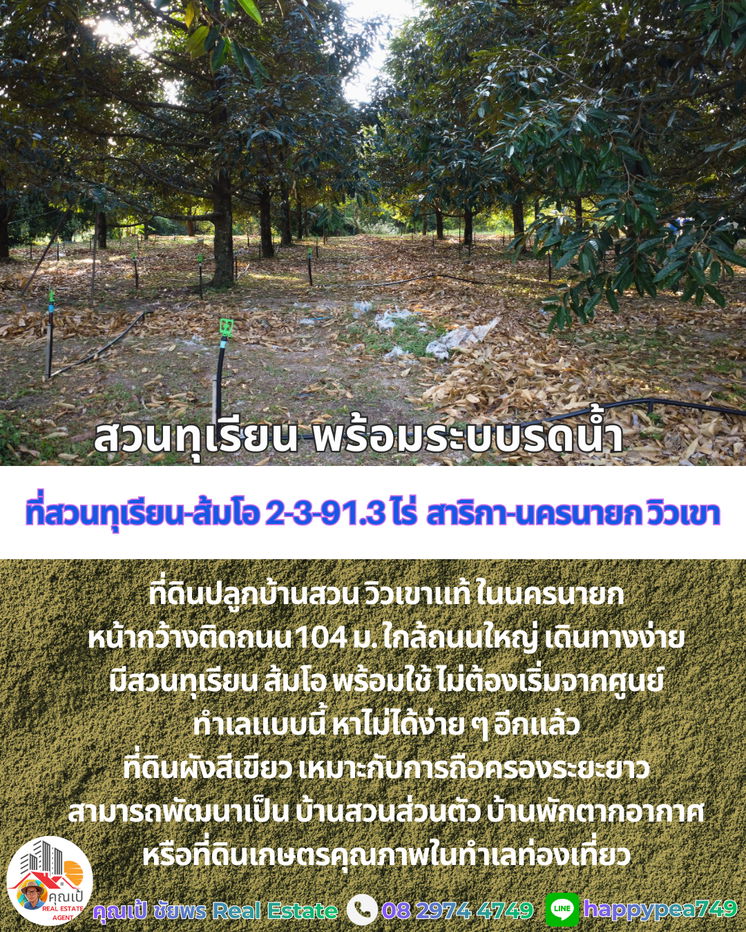 รูป ที่ดินพร้อมสวนทุเรียน-ส้มโอวิวเขา สาริกา นครนายก 2-3-91.3 ไร่ | เก็บผลผลิตได้ทันที คุ้มค่าการลงทุน - รูปที่ 9/20