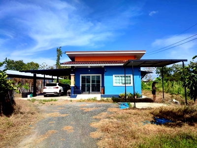 Houses for sale The Crystal SB : 🏡 Single-Storey House with Large Land Near M81 Motorway  📌 Listing no. 94777