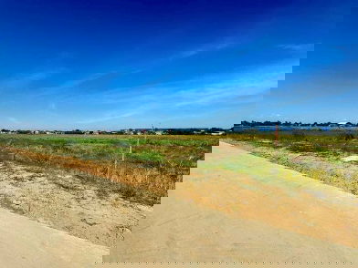 รูป ขายที่ดินแปลงใหญ่ ผังสีม่วงเข้ม 117-1-62 ไร่ ถนนบางนาตราด กม.35 คลองนิยมยาตรา - รูปที่ 9/10