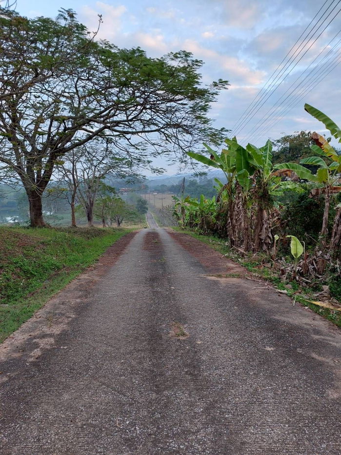 รูป ให้เช่าวิลล่าพร้อมที่ดินขนาด24ไร่ เหมาะพัฒนาเป็นresortหรือwellness ทำเลดี เดินทางสะดวก - รูปที่ 3/13