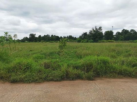 BP00148 ขายที่ดินว่างเปล่า หมู่บ้านบ้านลำโพง นครราชสีมา