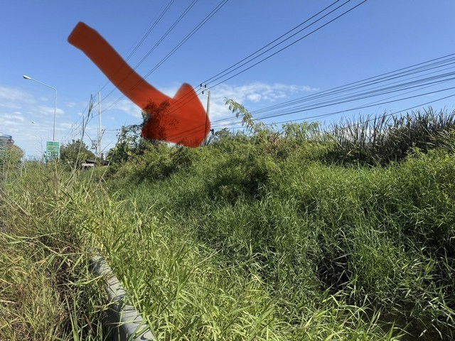 รูป ขายที่ดินติดถนน บางบ่อ-คลองด่าน 348.3 ตรว. ทำเลดี  - รูปที่ 7/10